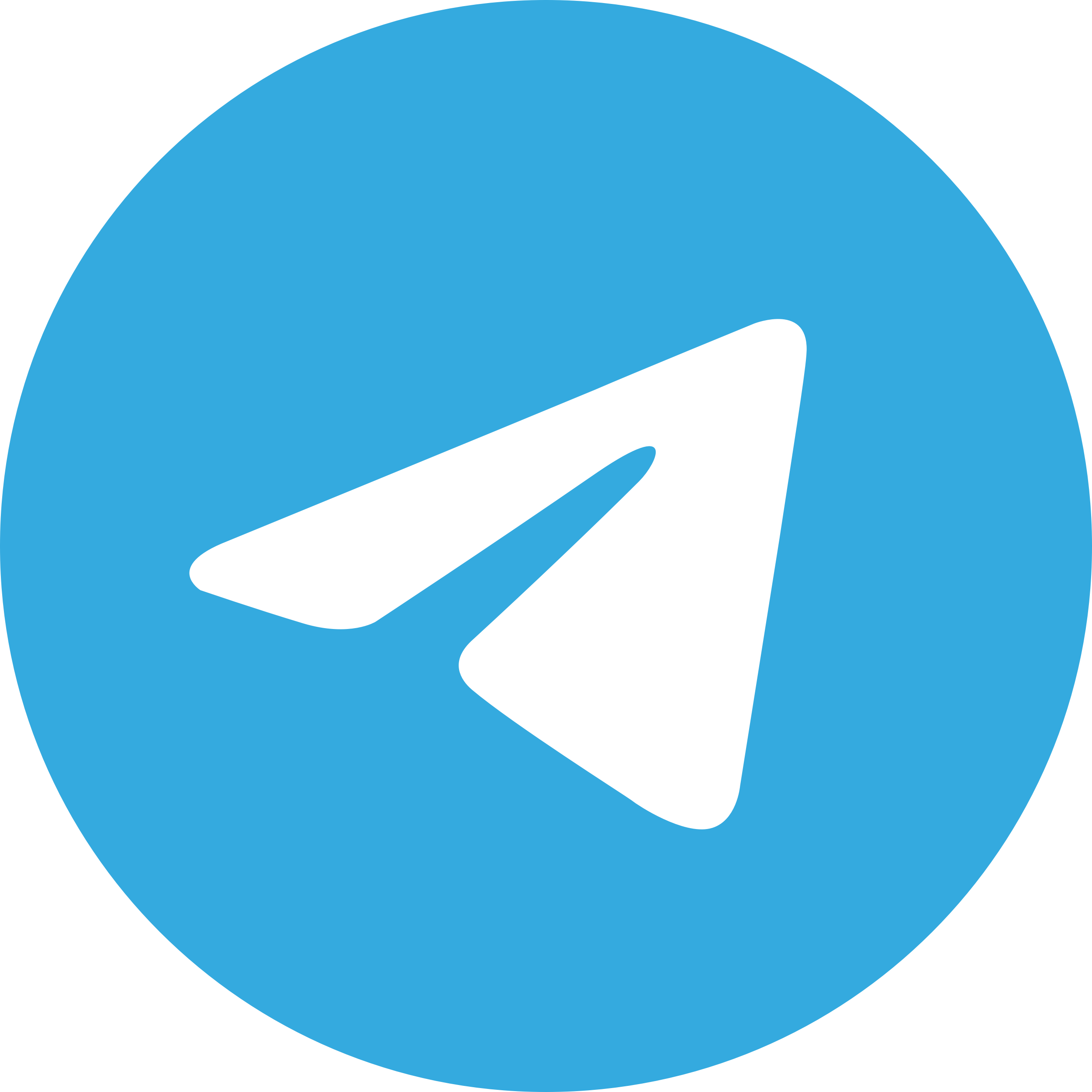 Telegram Icon